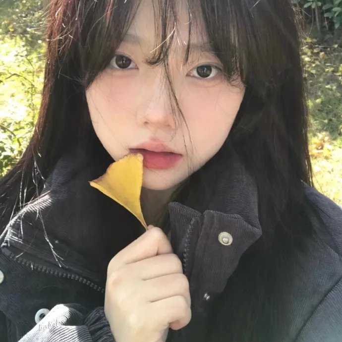 拥抱太阳的月亮